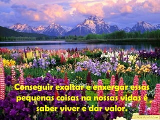 Conseguir exaltar e enxergar essas pequenas coisas na nossas vidas é saber viver e dar valor. 