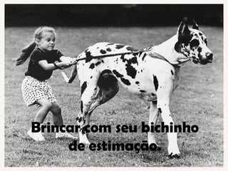 Brincar com seu bichinho de estimação. 