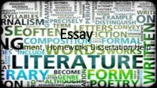 Essay
Assignment, Homework, Dissertation Help
www.assignmentsupport.com
 
