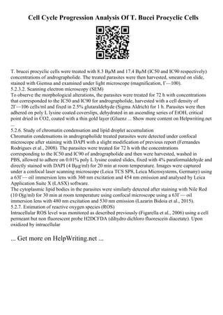 Cell Cycle Progression Analysis Of T. Bucei Procyclic Cells
T. brucei procyclic cells were treated with 8.3 ВµM and 17.4 ВµM (IC50 and IC90 respectively)
concentrations of andrographolide. The treated parasites were then harvested, smeared on slide,
stained with Giemsa and examined under light microscope (magnification, Г—100).
5.2.3.2. Scanning electron microscopy (SEM)
To observe the morphological alterations, the parasites were treated for 72 h with concentrations
that corresponded to the IC50 and IC90 for andrographolide, harvested with a cell density of
2Г—106 cells/ml and fixed in 2.5% glutaraldehyde (Sigma Aldrich) for 1 h. Parasites were then
adhered on poly L lysine coated coverslips, dehydrated in an ascending series of EtOH, critical
point dried in CO2, coated with a thin gold layer (Gluenz ... Show more content on Helpwriting.net
...
5.2.6. Study of chromatin condensation and lipid droplet accumulation
Chromatin condensations in andrographolide treated parasites were detected under confocal
microscope after staining with DAPI with a slight modification of previous report (Fernandes
Rodrigues et al., 2008). The parasites were treated for 72 h with the concentrations
corresponding to the IC50 and IC90 of andrographolide and then were harvested, washed in
PBS, allowed to adhere on 0.01% poly L lysine coated slides, fixed with 4% paraformaldehyde and
directly stained with DAPI (4 Вµg/ml) for 20 min at room temperature. Images were captured
under a confocal laser scanning microscope (Leica TCS SP8, Leica Microsystems, Germany) using
a 63Г— oil immersion lens with 360 nm excitation and 454 nm emission and analysed by Leica
Application Suite X (LASX) software.
The cytoplasmic lipid bodies in the parasites were similarly detected after staining with Nile Red
(10 Ојg/ml) for 30 min at room temperature using confocal microscope using a 63Г— oil
immersion lens with 480 nm excitation and 530 nm emission (Lazarin Bidoia et al., 2015).
5.2.7. Estimation of reactive oxygen species (ROS)
Intracellular ROS level was monitored as described previously (Figarella et al., 2006) using a cell
permeant but non fluorescent probe H2DCFDA (dihydro dichloro fluorescein diacetate). Upon
oxidized by intracellular
... Get more on HelpWriting.net ...
 