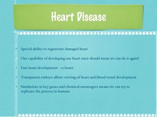 Heart Disease Special ability to regenerate damaged heart Our capability of developing our heart once should mean we can do it again? Fast heart development - 12 hours  Transparent embryo allows viewing of heart and blood vessel development Similarities in key genes and chemical messengers means we can try to replicate the process in humans 