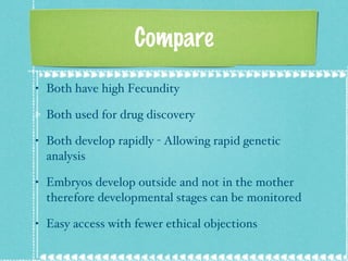 Compare Both have high Fecundity  Both used for drug discovery Both develop rapidly - Allowing rapid genetic analysis Embryos develop outside and not in the mother therefore developmental stages can be monitored Easy access with fewer ethical objections 