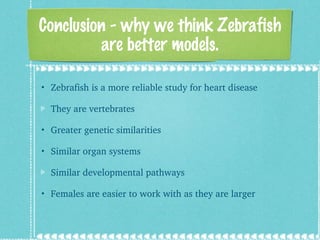 Conclusion - why we think Zebrafish are better models. Zebrafish is a more reliable study for heart disease  They are vertebrates Greater genetic similarities  Similar organ systems Similar developmental pathways Females are easier to work with as they are larger  