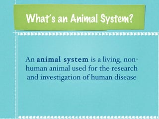 What’s an Animal System? An  animal system  is a living, non-human animal used for the research and investigation of human disease 