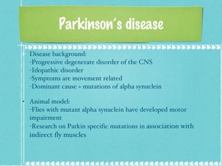 Parkinson’s disease Disease background: -Progressive degenerate disorder of the CNS -Idopathic disorder -Symptoms are movement related -Dominant cause = mutations of alpha synuclein Animal model: -Flies with mutant alpha synuclein have developed motor impairment -Research on Parkin specific mutations in  association with indirect fly muscles 