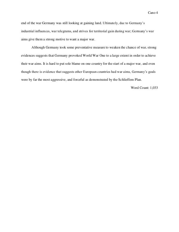 Essays world war 1