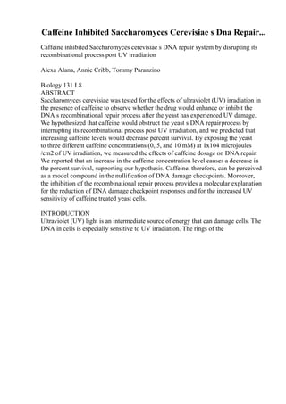 Caffeine Inhibited Saccharomyces Cerevisiae s Dna Repair...
Caffeine inhibited Saccharomyces cerevisiae s DNA repair system by disrupting its
recombinational process post UV irradiation
Alexa Alana, Annie Cribb, Tommy Paranzino
Biology 131 L8
ABSTRACT
Saccharomyces cerevisiae was tested for the effects of ultraviolet (UV) irradiation in
the presence of caffeine to observe whether the drug would enhance or inhibit the
DNA s recombinational repair process after the yeast has experienced UV damage.
We hypothesized that caffeine would obstruct the yeast s DNA repairprocess by
interrupting its recombinational process post UV irradiation, and we predicted that
increasing caffeine levels would decrease percent survival. By exposing the yeast
to three different caffeine concentrations (0, 5, and 10 mM) at 1x104 microjoules
/cm2 of UV irradiation, we measured the effects of caffeine dosage on DNA repair.
We reported that an increase in the caffeine concentration level causes a decrease in
the percent survival, supporting our hypothesis. Caffeine, therefore, can be perceived
as a model compound in the nullification of DNA damage checkpoints. Moreover,
the inhibition of the recombinational repair process provides a molecular explanation
for the reduction of DNA damage checkpoint responses and for the increased UV
sensitivity of caffeine treated yeast cells.
INTRODUCTION
Ultraviolet (UV) light is an intermediate source of energy that can damage cells. The
DNA in cells is especially sensitive to UV irradiation. The rings of the
 