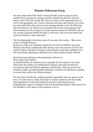 Pisaster Ochraceus Essay
Sea stars along much of the North American Pacific coast are dying in great
numbers from a mysterious wasting syndrome. Similar die offs have occurred
before in the 1970s, 80s, and the 90s, but never before at this magnitude and over
such a wide geographic area. Pisaster ochraceus and many other species of sea stars
have been affected by the current sea star wastingsyndrome event. The following
paper by Hewson et al. Densovirus associated with sea star wasting disease and
mass mortality provides evidence for a link between a densovirus (SSaDV) and sea
star wasting syndrome (SSWS) but there is still much work to be done before this
mysterious disease is fully understood.
The first photograph in the below series of a sea star with wasting ... Show more
content on Helpwriting.net ...
By the turn of the year it had been reported in 45 of the 84 MARINe sites from
Alaska to San Diego sampled since that summer, and in the summer of 2014 it has
spread to Mexico and parts of Oregon, which had previously been unaffected. It is
also intensifying, appearing at additional sites in those regions already affected.
diseased pisaster ochraceus cdiseased pisaster ochraceus d
Photo credit: Nate Fletcher
In subtidal habitats, the sunflower star is typically the first species to succumb,
followed by the rainbow star (Orthasterias koehleri), giant pink star (Pisaster
brevispinus), giant star (Pisaster giganteus), mottled star, ochre star and sun star
(Solaster), leather star (Dermasterias imbricata), vermilion star (Mediaster aequalis),
six armed stars, and bat star (Patiria miniata).
We don t know whether the syndrome spreads sequentially from one species to the
next, or if some species simply take longer to express symptoms, but the usually
large populations of ochre and sunflower stars have experienced massive,
geographically expansive (if patchy) and well documented declines. Other species are
less abundant, so the impact of the syndrome is not as
 