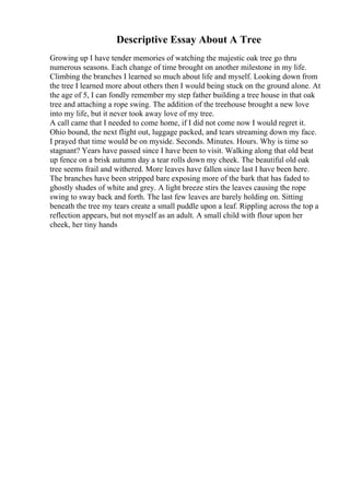 Descriptive Essay About A Tree
Growing up I have tender memories of watching the majestic oak tree go thru
numerous seasons. Each change of time brought on another milestone in my life.
Climbing the branches I learned so much about life and myself. Looking down from
the tree I learned more about others then I would being stuck on the ground alone. At
the age of 5, I can fondly remember my step father building a tree house in that oak
tree and attaching a rope swing. The addition of the treehouse brought a new love
into my life, but it never took away love of my tree.
A call came that I needed to come home, if I did not come now I would regret it.
Ohio bound, the next flight out, luggage packed, and tears streaming down my face.
I prayed that time would be on myside. Seconds. Minutes. Hours. Why is time so
stagnant? Years have passed since I have been to visit. Walking along that old beat
up fence on a brisk autumn day a tear rolls down my cheek. The beautiful old oak
tree seems frail and withered. More leaves have fallen since last I have been here.
The branches have been stripped bare exposing more of the bark that has faded to
ghostly shades of white and grey. A light breeze stirs the leaves causing the rope
swing to sway back and forth. The last few leaves are barely holding on. Sitting
beneath the tree my tears create a small puddle upon a leaf. Rippling across the top a
reflection appears, but not myself as an adult. A small child with flour upon her
cheek, her tiny hands
 