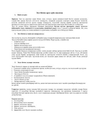 Essay | PDF