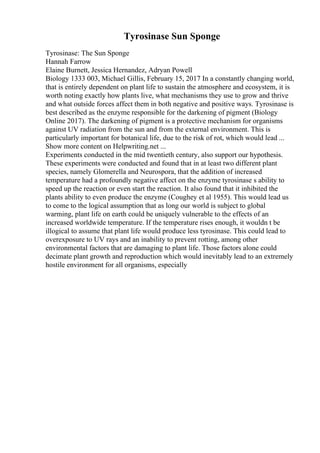 Tyrosinase Sun Sponge
Tyrosinase: The Sun Sponge
Hannah Farrow
Elaine Burnett, Jessica Hernandez, Adryan Powell
Biology 1333 003, Michael Gillis, February 15, 2017 In a constantly changing world,
that is entirely dependent on plant life to sustain the atmosphere and ecosystem, it is
worth noting exactly how plants live, what mechanisms they use to grow and thrive
and what outside forces affect them in both negative and positive ways. Tyrosinase is
best described as the enzyme responsible for the darkening of pigment (Biology
Online 2017). The darkening of pigment is a protective mechanism for organisms
against UV radiation from the sun and from the external environment. This is
particularly important for botanical life, due to the risk of rot, which would lead ...
Show more content on Helpwriting.net ...
Experiments conducted in the mid twentieth century, also support our hypothesis.
These experiments were conducted and found that in at least two different plant
species, namely Glomerella and Neurospora, that the addition of increased
temperature had a profoundly negative affect on the enzyme tyrosinase s ability to
speed up the reaction or even start the reaction. It also found that it inhibited the
plants ability to even produce the enzyme (Coughey et al 1955). This would lead us
to come to the logical assumption that as long our world is subject to global
warming, plant life on earth could be uniquely vulnerable to the effects of an
increased worldwide temperature. If the temperature rises enough, it wouldn t be
illogical to assume that plant life would produce less tyrosinase. This could lead to
overexposure to UV rays and an inability to prevent rotting, among other
environmental factors that are damaging to plant life. Those factors alone could
decimate plant growth and reproduction which would inevitably lead to an extremely
hostile environment for all organisms, especially
 