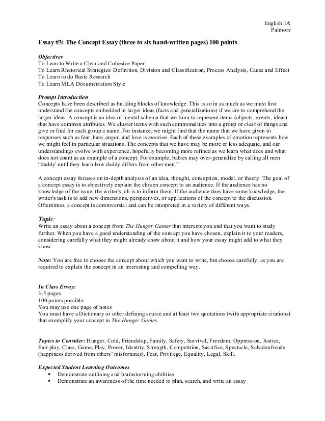 Division iii sports essay and definition