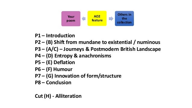 Connective tissue essay picture