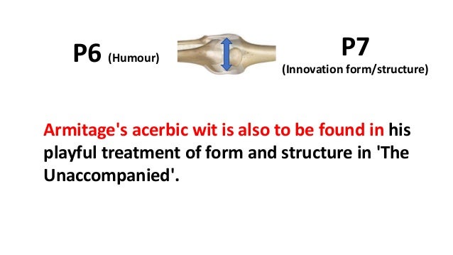 Connective tissue cells picture