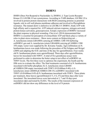 DORN1
DORN (Does Not Respond to Nucleotides 1), DORN1, L Type Lectin Receptor
Kinase I.9, LECRK I.9 are synonymous. According to TAIR database, LECRK I.9 is
involved in protein protein interactions with RGD containing proteins as potential
ligands, role in cell wall plasma membrane adhesion and involved in Phytophthora
resistance. The mutant dorn1 is defective in LECRK I.9. DORN1, binds ATP with
high affinity and is required for: ATP induced calcium response, mitogen activated
protein kinase activation, geneexpression. Ectopic expression of DORN1 increased
the plant response to physical wounding. Choi et.al. (2014) demonstrated that
DORN1 is essential for perception of extracellular ATP and likely plays a variety of
roles in plant stress resistance... Show more content on Helpwriting.net ...
A. tumefaciens (strain LBA4404) carrying pCAMBIA 1200 35S harboring
oxDORN1 gen and A. tumefaciens (strain LBA4404) carrying pCAMBIA 1200
35S empty vector were supplied by Dr. Kiwamu Tanaka. Agro infiltration on N.
benthamiana leaves was made following the procedure of De Felippes and Weigel
(2009) and adapting the O.D. and time of the day for agroinfiltration. Four weeks
old N. benthamiana plants were agroinfiltrated. Three days after agroinfiltration,
leaves for inoculated with TSWV. A total of five greenhouse assays were
performed in order to determine the better setup to test effect of oxDORN1 on
TSWV levels. The first three were to optimize the experiment, the fourth and the
fifth were to evaluate the effect. The final treatments consisted of a) N. benthamiana
inoculated with buffer phosphate; b) A. tumefaciens strain LB4404
pCAMBIA1200 empty inoculated with TSWV (O.D.600nm 0.40); c) A.
tumefaciens strain LB4404 pCAMBIA1200 35s oxDORN1 inoculated with
TSWV (O.D.600nm 0.45) d) N. benthamiana inoculated with TSWV. Three plants
per treatment, three leaves agroinfiltrated (# 5, # 6, #7) and three days after were
inoculated. The inoculated leaves were harvested at 3, 7 and 10 days post
inoculation (dpi) and tested by ELISA. The results of the transient expression of
oxDORN1 did not show any differences in the level of N protein
 