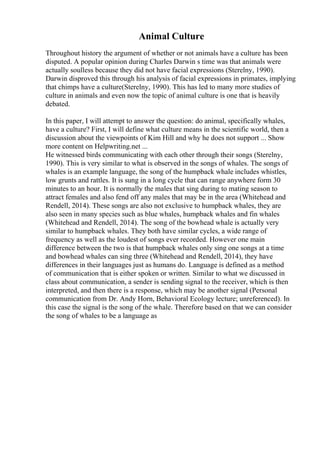 Animal Culture
Throughout history the argument of whether or not animals have a culture has been
disputed. A popular opinion during Charles Darwin s time was that animals were
actually soulless because they did not have facial expressions (Sterelny, 1990).
Darwin disproved this through his analysis of facial expressions in primates, implying
that chimps have a culture(Sterelny, 1990). This has led to many more studies of
culture in animals and even now the topic of animal culture is one that is heavily
debated.
In this paper, I will attempt to answer the question: do animal, specifically whales,
have a culture? First, I will define what culture means in the scientific world, then a
discussion about the viewpoints of Kim Hill and why he does not support ... Show
more content on Helpwriting.net ...
He witnessed birds communicating with each other through their songs (Sterelny,
1990). This is very similar to what is observed in the songs of whales. The songs of
whales is an example language, the song of the humpback whale includes whistles,
low grunts and rattles. It is sung in a long cycle that can range anywhere form 30
minutes to an hour. It is normally the males that sing during to mating season to
attract females and also fend off any males that may be in the area (Whitehead and
Rendell, 2014). These songs are also not exclusive to humpback whales, they are
also seen in many species such as blue whales, humpback whales and fin whales
(Whitehead and Rendell, 2014). The song of the bowhead whale is actually very
similar to humpback whales. They both have similar cycles, a wide range of
frequency as well as the loudest of songs ever recorded. However one main
difference between the two is that humpback whales only sing one songs at a time
and bowhead whales can sing three (Whitehead and Rendell, 2014), they have
differences in their languages just as humans do. Language is defined as a method
of communication that is either spoken or written. Similar to what we discussed in
class about communication, a sender is sending signal to the receiver, which is then
interpreted, and then there is a response, which may be another signal (Personal
communication from Dr. Andy Horn, Behavioral Ecology lecture; unreferenced). In
this case the signal is the song of the whale. Therefore based on that we can consider
the song of whales to be a language as
 