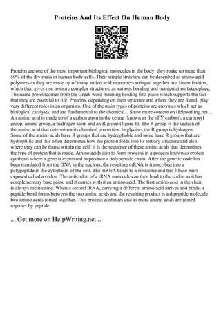 Proteins And Its Effect On Human Body
Proteins are one of the most important biological molecules in the body; they make up more than
50% of the dry mass in human body cells. Their simple structure can be described as amino acid
polymers as they are made up of many amino acid monomers stringed together in a linear fashion,
which then gives rise to more complex structures, as various bonding and manipulation takes place.
The name proteincomes from the Greek word meaning holding first place which supports the fact
that they are essential to life. Proteins, depending on their structure and where they are found, play
very different roles in an organism. One of the main types of proteins are enzymes which act as
biological catalysts, and are fundamental to the chemical... Show more content on Helpwriting.net ...
An amino acid is made up of a carbon atom in the centre (known as the пЃЎ carbon), a carboxyl
group, amino group, a hydrogen atom and an R group (figure 1). The R group is the section of
the amino acid that determines its chemical properties. In glycine, the R group is hydrogen.
Some of the amino acids have R groups that are hydrophobic and some have R groups that are
hydrophilic and this often determines how the protein folds into its tertiary structure and also
where they can be found within the cell. It is the sequence of these amino acids that determines
the type of protein that is made. Amino acids join to form proteins in a process known as protein
synthesis where a gene is expressed to produce a polypeptide chain. After the genetic code has
been translated from the DNA in the nucleus, the resulting mRNA is transcribed into a
polypeptide in the cytoplasm of the cell. The mRNA binds to a ribosome and has 3 base pairs
exposed called a codon. The anticodon of a tRNA molecule can then bind to the codon as it has
complementary base pairs, and it carries with it an amino acid. The first amino acid in the chain
is always methionine. When a second tRNA, carrying a different amino acid arrives and binds, a
peptide bond forms between the two amino acids and the resulting product is a dipeptide molecule
two amino acids joined together. This process continues and as more amino acids are joined
together by peptide
... Get more on HelpWriting.net ...
 