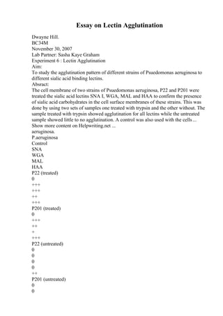 Essay on Lectin Agglutination
Dwayne Hill.
BC34M
November 30, 2007
Lab Partner: Sasha Kaye Graham
Experiment 6 : Lectin Agglutination
Aim:
To study the agglutination pattern of different strains of Psuedomonas aeruginosa to
different sialic acid binding lectins.
Absract:
The cell membrane of two strains of Psuedomonas aeruginosa, P22 and P201 were
treated the sialic acid lectins SNA I, WGA, MAL and HAA to confirm the presence
of sialic acid carbohydrates in the cell surface membranes of these strains. This was
done by using two sets of samples one treated with trypsin and the other without. The
sample treated with trypsin showed agglutination for all lectins while the untreated
sample showed little to no agglutination. A control was also used with the cells...
Show more content on Helpwriting.net ...
aeruginosa.
P.aeruginosa
Control
SNA
WGA
MAL
HAA
P22 (treated)
0
+++
+++
++
+++
P201 (treated)
0
+++
++
+
+++
P22 (untreated)
0
0
0
0
++
P201 (untreated)
0
0
 