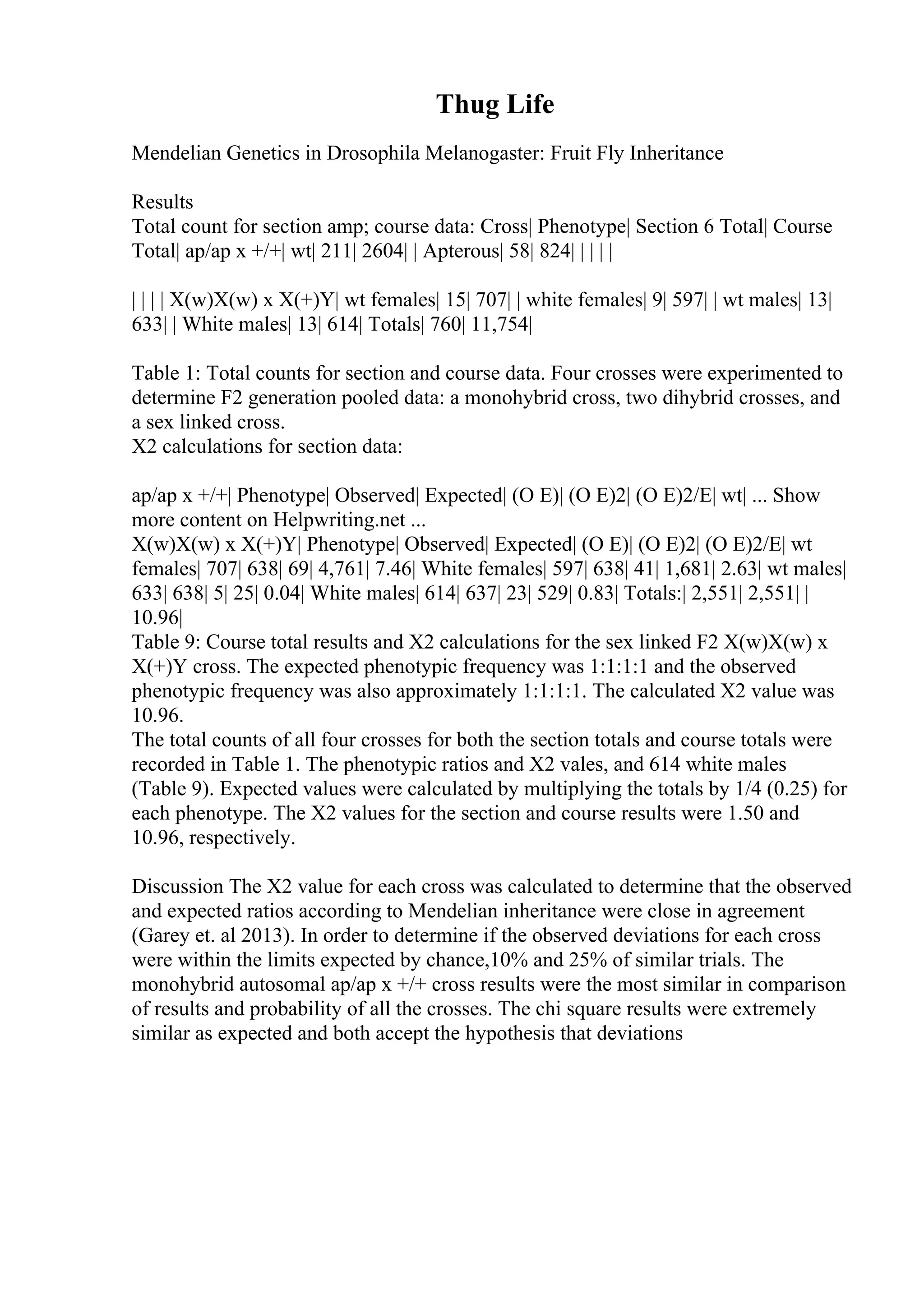 Thug Life
Mendelian Genetics in Drosophila Melanogaster: Fruit Fly Inheritance
Results
Total count for section amp; course data: Cross| Phenotype| Section 6 Total| Course
Total| ap/ap x +/+| wt| 211| 2604| | Apterous| 58| 824| | | | |
| | | | X(w)X(w) x X(+)Y| wt females| 15| 707| | white females| 9| 597| | wt males| 13|
633| | White males| 13| 614| Totals| 760| 11,754|
Table 1: Total counts for section and course data. Four crosses were experimented to
determine F2 generation pooled data: a monohybrid cross, two dihybrid crosses, and
a sex linked cross.
X2 calculations for section data:
ap/ap x +/+| Phenotype| Observed| Expected| (O E)| (O E)2| (O E)2/E| wt| ... Show
more content on Helpwriting.net ...
X(w)X(w) x X(+)Y| Phenotype| Observed| Expected| (O E)| (O E)2| (O E)2/E| wt
females| 707| 638| 69| 4,761| 7.46| White females| 597| 638| 41| 1,681| 2.63| wt males|
633| 638| 5| 25| 0.04| White males| 614| 637| 23| 529| 0.83| Totals:| 2,551| 2,551| |
10.96|
Table 9: Course total results and X2 calculations for the sex linked F2 X(w)X(w) x
X(+)Y cross. The expected phenotypic frequency was 1:1:1:1 and the observed
phenotypic frequency was also approximately 1:1:1:1. The calculated X2 value was
10.96.
The total counts of all four crosses for both the section totals and course totals were
recorded in Table 1. The phenotypic ratios and X2 vales, and 614 white males
(Table 9). Expected values were calculated by multiplying the totals by 1/4 (0.25) for
each phenotype. The X2 values for the section and course results were 1.50 and
10.96, respectively.
Discussion The X2 value for each cross was calculated to determine that the observed
and expected ratios according to Mendelian inheritance were close in agreement
(Garey et. al 2013). In order to determine if the observed deviations for each cross
were within the limits expected by chance,10% and 25% of similar trials. The
monohybrid autosomal ap/ap x +/+ cross results were the most similar in comparison
of results and probability of all the crosses. The chi square results were extremely
similar as expected and both accept the hypothesis that deviations
 