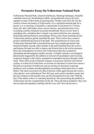 Persuasive Essay On Yellowstone National Park
Yellowstone National Park, untamed wild beauty. Stunning landscapes, beautiful
waterfalls and rivers, breathtaking wildlife, and geothermal activity all come
together to make Yellowstone an amazing place. People come from all over the
world to witness the beauty of Yellowstone. It is a regulated national park for a
reason, it is so amazing, so beautiful, so spectacular to not preserve it. It hosts
bison, elk, deer, bald eagles, bears, moose, beavers, and amazing trout rivers,
everything a perfect mountain ecosystem should hold. However now there is
something else, something that is natural, was removed but has now returned,
flourishing and benefiting its surroundings. Wolves, have been reintroduced into
Yellowstone and have greatly benefited the area. These wolves have started a
positive and beneficial renewal in the park. The reintroduction of wolves into
Yellowstone National Park is beneficial because they created and natural and
beneficial trophic cascade, other animals in the park benefited from the wolves,
and because the land was able to regrow and flourish due to the wolves presence.
Since the reintroduction of wolves into Yellowstone they have created an
astounding and advantageous trophic cascade. A trophic cascade is an ecological
phenomenon triggered by the addition or removal of top predators and involving
reciprocal changes in the relative populations of predator and prey through a food
chain. These often result in dramatic changes in ecosystem structure and nutrient
cycling. In a three level food chain, an increase (or decrease) in carnivores causes a
decrease (or increase) in herbivores and an increase (or decrease) in primary
producers such as plants and phytoplankton according to briticanna (how to make
better). The entire ecosystem was able to become whole again because the wolves,
a key species, were reintroduced. Now this may seem weird, a predator comes into
the area a begins to kill animals, how can this be beneficial in any way? Well the
fact of the matter is that it is extremely beneficial. The reason being the problem in
Yellowstone was the overpopulation of the elk. These elk had no predators, they were
free to roam and reproduce, and they did this very well. Now elk are also a
 