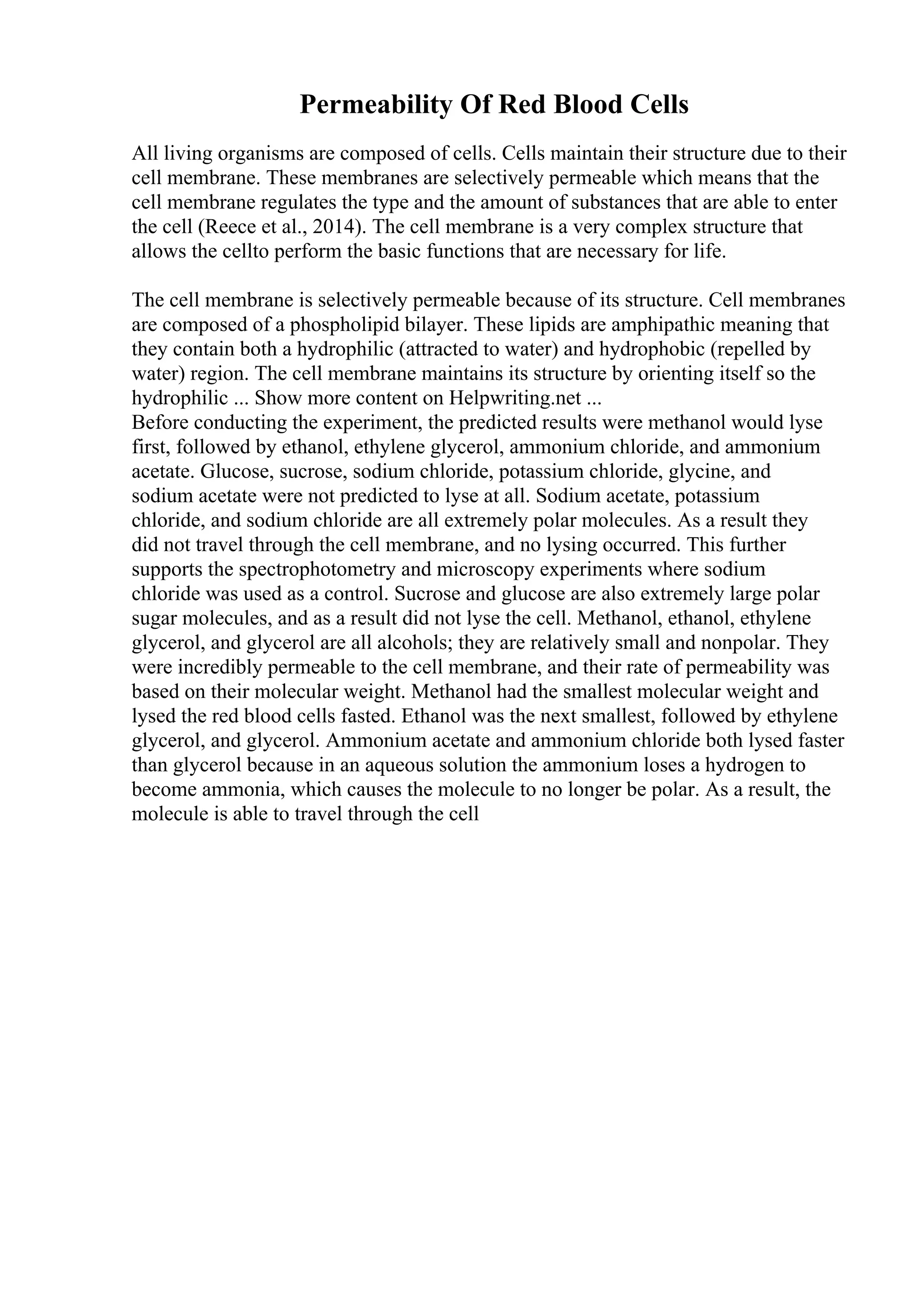 Permeability Of Red Blood Cells
All living organisms are composed of cells. Cells maintain their structure due to their
cell membrane. These membranes are selectively permeable which means that the
cell membrane regulates the type and the amount of substances that are able to enter
the cell (Reece et al., 2014). The cell membrane is a very complex structure that
allows the cellto perform the basic functions that are necessary for life.
The cell membrane is selectively permeable because of its structure. Cell membranes
are composed of a phospholipid bilayer. These lipids are amphipathic meaning that
they contain both a hydrophilic (attracted to water) and hydrophobic (repelled by
water) region. The cell membrane maintains its structure by orienting itself so the
hydrophilic ... Show more content on Helpwriting.net ...
Before conducting the experiment, the predicted results were methanol would lyse
first, followed by ethanol, ethylene glycerol, ammonium chloride, and ammonium
acetate. Glucose, sucrose, sodium chloride, potassium chloride, glycine, and
sodium acetate were not predicted to lyse at all. Sodium acetate, potassium
chloride, and sodium chloride are all extremely polar molecules. As a result they
did not travel through the cell membrane, and no lysing occurred. This further
supports the spectrophotometry and microscopy experiments where sodium
chloride was used as a control. Sucrose and glucose are also extremely large polar
sugar molecules, and as a result did not lyse the cell. Methanol, ethanol, ethylene
glycerol, and glycerol are all alcohols; they are relatively small and nonpolar. They
were incredibly permeable to the cell membrane, and their rate of permeability was
based on their molecular weight. Methanol had the smallest molecular weight and
lysed the red blood cells fasted. Ethanol was the next smallest, followed by ethylene
glycerol, and glycerol. Ammonium acetate and ammonium chloride both lysed faster
than glycerol because in an aqueous solution the ammonium loses a hydrogen to
become ammonia, which causes the molecule to no longer be polar. As a result, the
molecule is able to travel through the cell
 