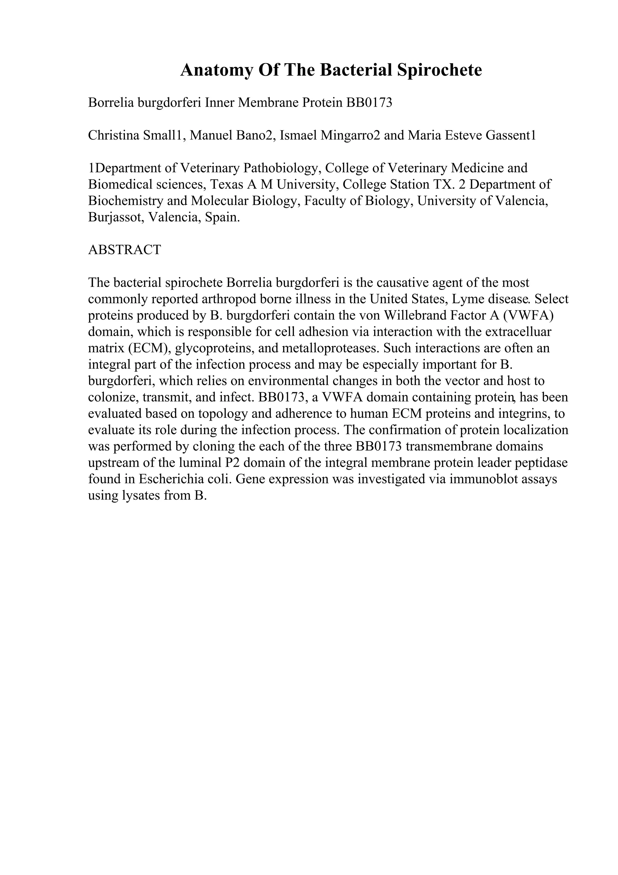 Anatomy Of The Bacterial Spirochete
Borrelia burgdorferi Inner Membrane Protein BB0173
Christina Small1, Manuel Bano2, Ismael Mingarro2 and Maria Esteve Gassent1
1Department of Veterinary Pathobiology, College of Veterinary Medicine and
Biomedical sciences, Texas A M University, College Station TX. 2 Department of
Biochemistry and Molecular Biology, Faculty of Biology, University of Valencia,
Burjassot, Valencia, Spain.
ABSTRACT
The bacterial spirochete Borrelia burgdorferi is the causative agent of the most
commonly reported arthropod borne illness in the United States, Lyme disease. Select
proteins produced by B. burgdorferi contain the von Willebrand Factor A (VWFA)
domain, which is responsible for cell adhesion via interaction with the extracelluar
matrix (ECM), glycoproteins, and metalloproteases. Such interactions are often an
integral part of the infection process and may be especially important for B.
burgdorferi, which relies on environmental changes in both the vector and host to
colonize, transmit, and infect. BB0173, a VWFA domain containing protein, has been
evaluated based on topology and adherence to human ECM proteins and integrins, to
evaluate its role during the infection process. The confirmation of protein localization
was performed by cloning the each of the three BB0173 transmembrane domains
upstream of the luminal P2 domain of the integral membrane protein leader peptidase
found in Escherichia coli. Gene expression was investigated via immunoblot assays
using lysates from B.
 