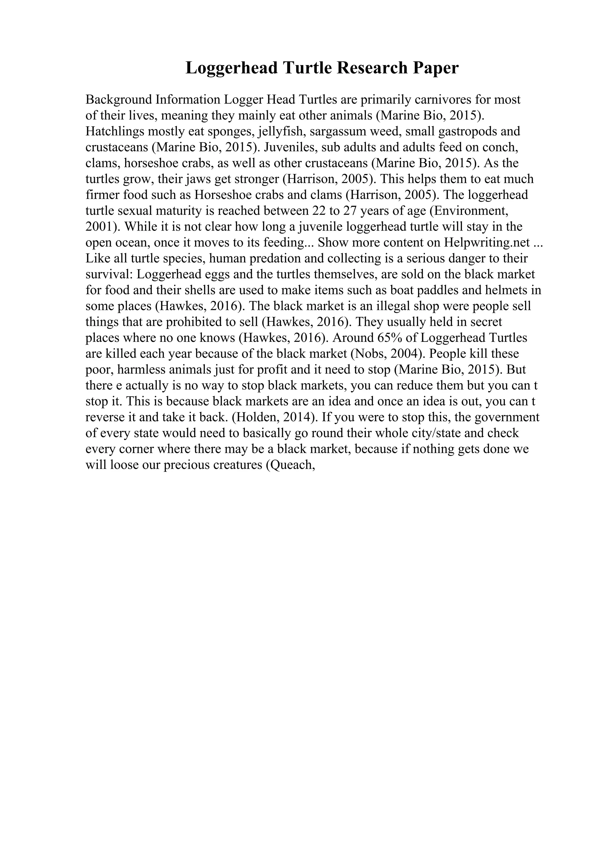 Loggerhead Turtle Research Paper
Background Information Logger Head Turtles are primarily carnivores for most
of their lives, meaning they mainly eat other animals (Marine Bio, 2015).
Hatchlings mostly eat sponges, jellyfish, sargassum weed, small gastropods and
crustaceans (Marine Bio, 2015). Juveniles, sub adults and adults feed on conch,
clams, horseshoe crabs, as well as other crustaceans (Marine Bio, 2015). As the
turtles grow, their jaws get stronger (Harrison, 2005). This helps them to eat much
firmer food such as Horseshoe crabs and clams (Harrison, 2005). The loggerhead
turtle sexual maturity is reached between 22 to 27 years of age (Environment,
2001). While it is not clear how long a juvenile loggerhead turtle will stay in the
open ocean, once it moves to its feeding... Show more content on Helpwriting.net ...
Like all turtle species, human predation and collecting is a serious danger to their
survival: Loggerhead eggs and the turtles themselves, are sold on the black market
for food and their shells are used to make items such as boat paddles and helmets in
some places (Hawkes, 2016). The black market is an illegal shop were people sell
things that are prohibited to sell (Hawkes, 2016). They usually held in secret
places where no one knows (Hawkes, 2016). Around 65% of Loggerhead Turtles
are killed each year because of the black market (Nobs, 2004). People kill these
poor, harmless animals just for profit and it need to stop (Marine Bio, 2015). But
there e actually is no way to stop black markets, you can reduce them but you can t
stop it. This is because black markets are an idea and once an idea is out, you can t
reverse it and take it back. (Holden, 2014). If you were to stop this, the government
of every state would need to basically go round their whole city/state and check
every corner where there may be a black market, because if nothing gets done we
will loose our precious creatures (Queach,
 