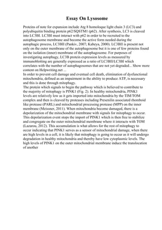 Essay On Lysosome
Proteins of note for expansion include Atg 8 homoloque light chain 3 (LC3) and
polyubiquitin binding protein p62/SQSTM1 (p62). After synthesis, LC3 is cleaved
into LC3BI. LC3BI must interact with p62 in order to be recruited to the
autophagosome membrane and become the active form needed during the
autophagic process, LC3BII (Pankiv, 2007; Kabeya, 2000). LC3BII is present not
only on the outer membrane of the autophagosome but it is one of few proteins found
on the isolation (inner) membrane of the autophagosome. For purposes of
investigating autophagy, LC3B protein expression levels as measured by
immunoblotting are generally expressed as a ratio of LC3BII/LC3BI which
correlates with the number of autophagosomes that are not yet degraded... Show more
content on Helpwriting.net ...
In order to prevent cell damage and eventual cell death, elimination of dysfunctional
mitochondria, defined as an impairment in the ability to produce ATP, is necessary
and this is done through mitophagy.
The protein which signals to begin the pathway which is believed to contribute to
the majority of mitophagy is PINK1 (Fig. 2). In healthy mitochondria, PINK1
levels are relatively low as it gets imported into mitochondria by the TIM/TOM
complex and then is cleaved by proteases including Presenilin associated rhomboid
like protease (PARL) and mitochondrial processing protease (MPP) on the inner
membrane (Meissner, 2011). When mitochondria become damaged, there is a
depolarization of the mitochondrial membrane with signals for mitophagy to occur.
This depolarization event stops the import of PINK1 which is then free to stabilize
and congregate on the outer mitochondrial membrane where it interacts with TOM
(Lazarou, 2012). This accumulation is what allows for the rest of mitophagy to
occur indicating that PINK1 serves as a sensor of mitochondrial damage, when there
are high levels in a cell, it is likely that mitophagy is going to occur as it will undergo
degradation in healthy mitochondria and thereby have low cytoplasmic levels. The
high levels of PINK1 on the outer mitochondrial membrane induce the translocation
of another
 