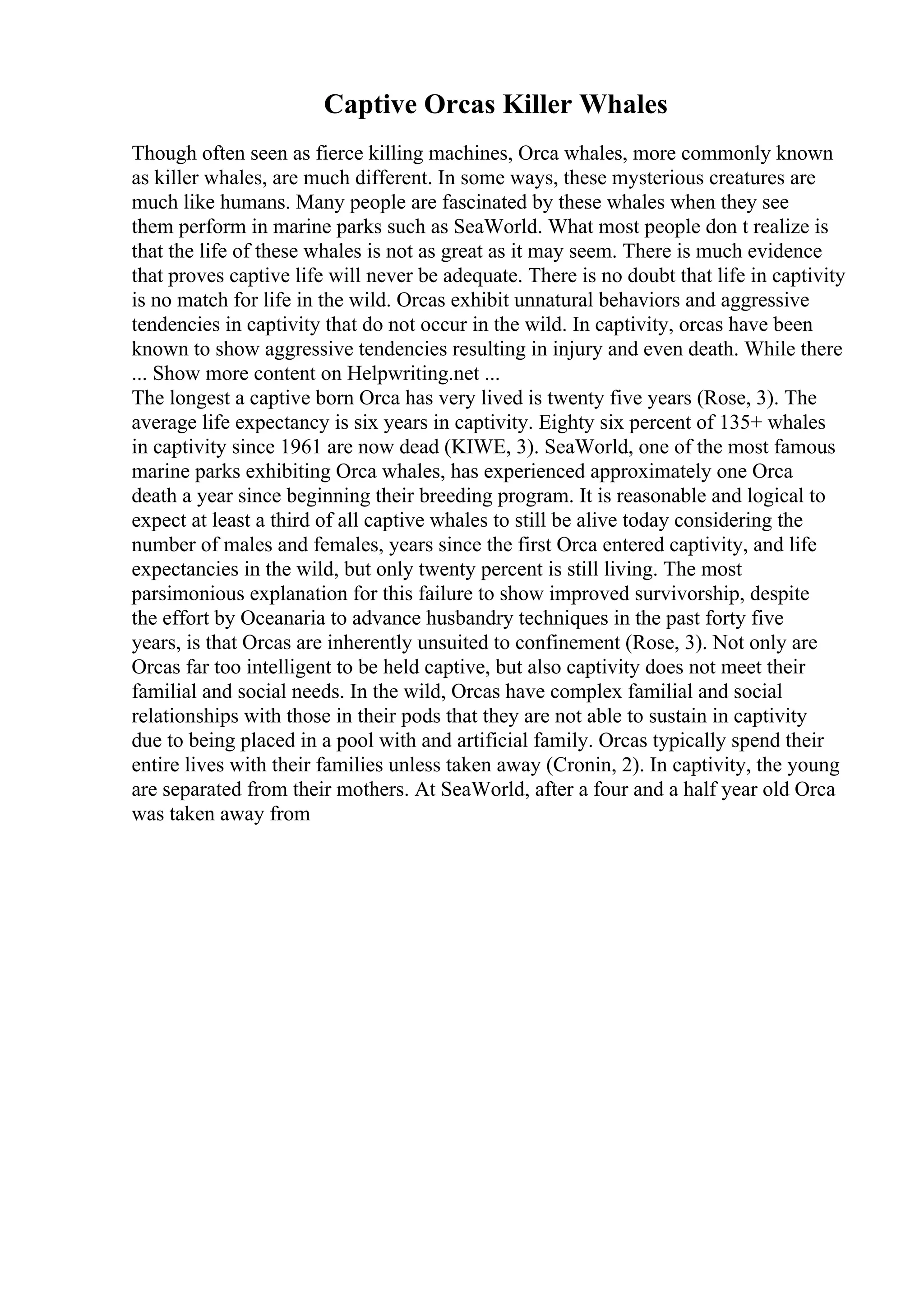 Captive Orcas Killer Whales
Though often seen as fierce killing machines, Orca whales, more commonly known
as killer whales, are much different. In some ways, these mysterious creatures are
much like humans. Many people are fascinated by these whales when they see
them perform in marine parks such as SeaWorld. What most people don t realize is
that the life of these whales is not as great as it may seem. There is much evidence
that proves captive life will never be adequate. There is no doubt that life in captivity
is no match for life in the wild. Orcas exhibit unnatural behaviors and aggressive
tendencies in captivity that do not occur in the wild. In captivity, orcas have been
known to show aggressive tendencies resulting in injury and even death. While there
... Show more content on Helpwriting.net ...
The longest a captive born Orca has very lived is twenty five years (Rose, 3). The
average life expectancy is six years in captivity. Eighty six percent of 135+ whales
in captivity since 1961 are now dead (KIWE, 3). SeaWorld, one of the most famous
marine parks exhibiting Orca whales, has experienced approximately one Orca
death a year since beginning their breeding program. It is reasonable and logical to
expect at least a third of all captive whales to still be alive today considering the
number of males and females, years since the first Orca entered captivity, and life
expectancies in the wild, but only twenty percent is still living. The most
parsimonious explanation for this failure to show improved survivorship, despite
the effort by Oceanaria to advance husbandry techniques in the past forty five
years, is that Orcas are inherently unsuited to confinement (Rose, 3). Not only are
Orcas far too intelligent to be held captive, but also captivity does not meet their
familial and social needs. In the wild, Orcas have complex familial and social
relationships with those in their pods that they are not able to sustain in captivity
due to being placed in a pool with and artificial family. Orcas typically spend their
entire lives with their families unless taken away (Cronin, 2). In captivity, the young
are separated from their mothers. At SeaWorld, after a four and a half year old Orca
was taken away from
 