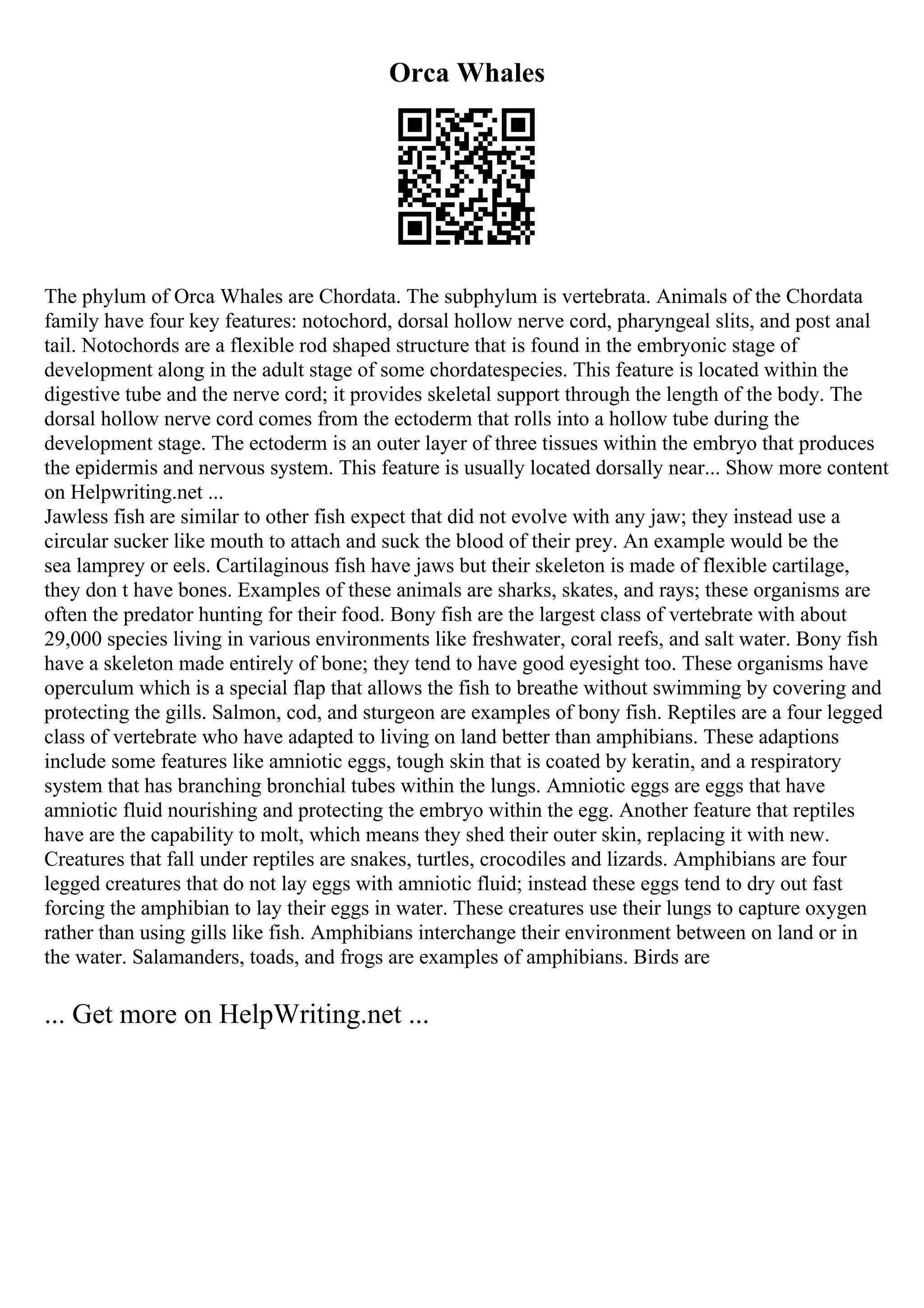 Orca Whales
The phylum of Orca Whales are Chordata. The subphylum is vertebrata. Animals of the Chordata
family have four key features: notochord, dorsal hollow nerve cord, pharyngeal slits, and post anal
tail. Notochords are a flexible rod shaped structure that is found in the embryonic stage of
development along in the adult stage of some chordatespecies. This feature is located within the
digestive tube and the nerve cord; it provides skeletal support through the length of the body. The
dorsal hollow nerve cord comes from the ectoderm that rolls into a hollow tube during the
development stage. The ectoderm is an outer layer of three tissues within the embryo that produces
the epidermis and nervous system. This feature is usually located dorsally near... Show more content
on Helpwriting.net ...
Jawless fish are similar to other fish expect that did not evolve with any jaw; they instead use a
circular sucker like mouth to attach and suck the blood of their prey. An example would be the
sea lamprey or eels. Cartilaginous fish have jaws but their skeleton is made of flexible cartilage,
they don t have bones. Examples of these animals are sharks, skates, and rays; these organisms are
often the predator hunting for their food. Bony fish are the largest class of vertebrate with about
29,000 species living in various environments like freshwater, coral reefs, and salt water. Bony fish
have a skeleton made entirely of bone; they tend to have good eyesight too. These organisms have
operculum which is a special flap that allows the fish to breathe without swimming by covering and
protecting the gills. Salmon, cod, and sturgeon are examples of bony fish. Reptiles are a four legged
class of vertebrate who have adapted to living on land better than amphibians. These adaptions
include some features like amniotic eggs, tough skin that is coated by keratin, and a respiratory
system that has branching bronchial tubes within the lungs. Amniotic eggs are eggs that have
amniotic fluid nourishing and protecting the embryo within the egg. Another feature that reptiles
have are the capability to molt, which means they shed their outer skin, replacing it with new.
Creatures that fall under reptiles are snakes, turtles, crocodiles and lizards. Amphibians are four
legged creatures that do not lay eggs with amniotic fluid; instead these eggs tend to dry out fast
forcing the amphibian to lay their eggs in water. These creatures use their lungs to capture oxygen
rather than using gills like fish. Amphibians interchange their environment between on land or in
the water. Salamanders, toads, and frogs are examples of amphibians. Birds are
... Get more on HelpWriting.net ...
 