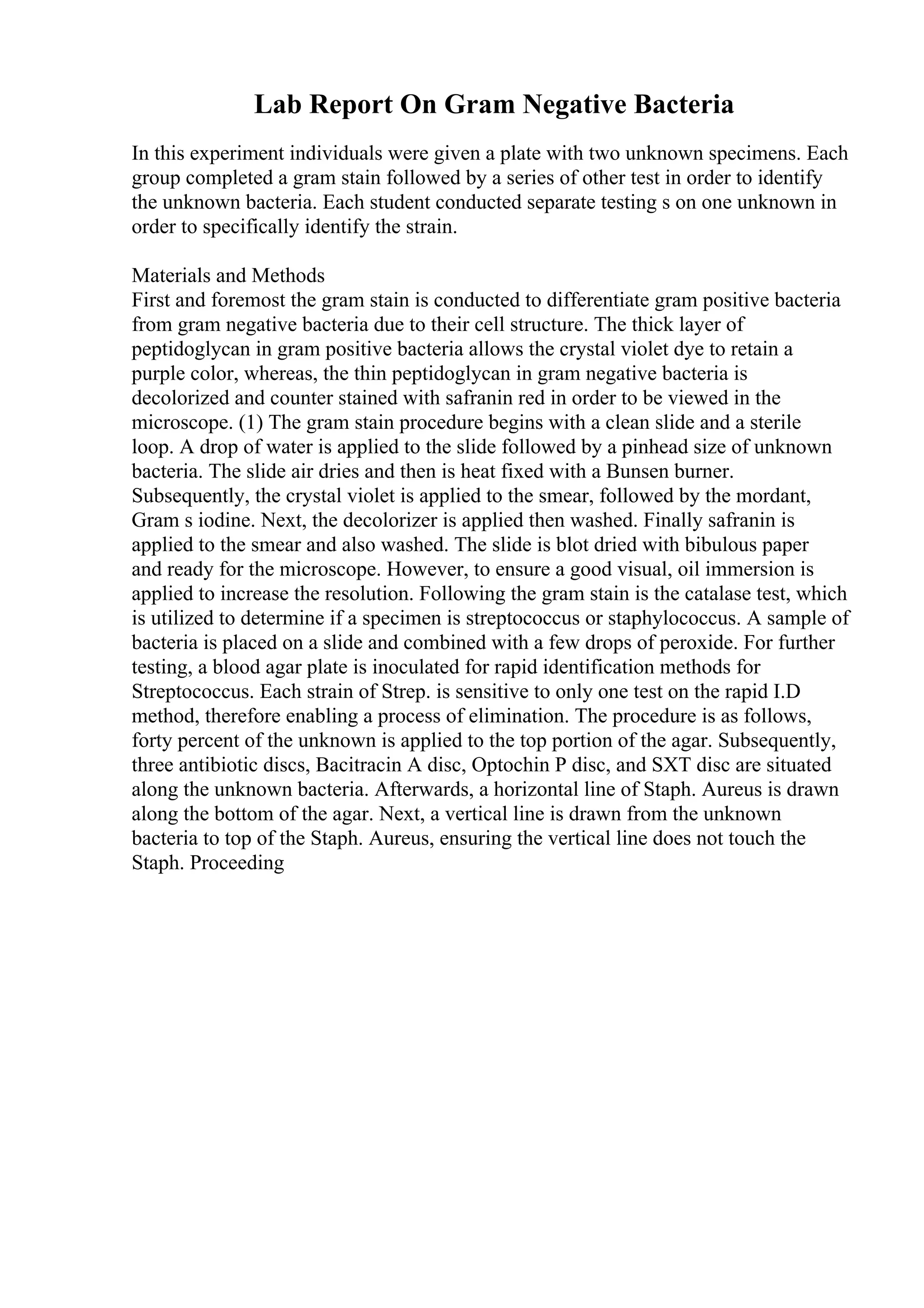 Lab Report On Gram Negative Bacteria
In this experiment individuals were given a plate with two unknown specimens. Each
group completed a gram stain followed by a series of other test in order to identify
the unknown bacteria. Each student conducted separate testing s on one unknown in
order to specifically identify the strain.
Materials and Methods
First and foremost the gram stain is conducted to differentiate gram positive bacteria
from gram negative bacteria due to their cell structure. The thick layer of
peptidoglycan in gram positive bacteria allows the crystal violet dye to retain a
purple color, whereas, the thin peptidoglycan in gram negative bacteria is
decolorized and counter stained with safranin red in order to be viewed in the
microscope. (1) The gram stain procedure begins with a clean slide and a sterile
loop. A drop of water is applied to the slide followed by a pinhead size of unknown
bacteria. The slide air dries and then is heat fixed with a Bunsen burner.
Subsequently, the crystal violet is applied to the smear, followed by the mordant,
Gram s iodine. Next, the decolorizer is applied then washed. Finally safranin is
applied to the smear and also washed. The slide is blot dried with bibulous paper
and ready for the microscope. However, to ensure a good visual, oil immersion is
applied to increase the resolution. Following the gram stain is the catalase test, which
is utilized to determine if a specimen is streptococcus or staphylococcus. A sample of
bacteria is placed on a slide and combined with a few drops of peroxide. For further
testing, a blood agar plate is inoculated for rapid identification methods for
Streptococcus. Each strain of Strep. is sensitive to only one test on the rapid I.D
method, therefore enabling a process of elimination. The procedure is as follows,
forty percent of the unknown is applied to the top portion of the agar. Subsequently,
three antibiotic discs, Bacitracin A disc, Optochin P disc, and SXT disc are situated
along the unknown bacteria. Afterwards, a horizontal line of Staph. Aureus is drawn
along the bottom of the agar. Next, a vertical line is drawn from the unknown
bacteria to top of the Staph. Aureus, ensuring the vertical line does not touch the
Staph. Proceeding
 