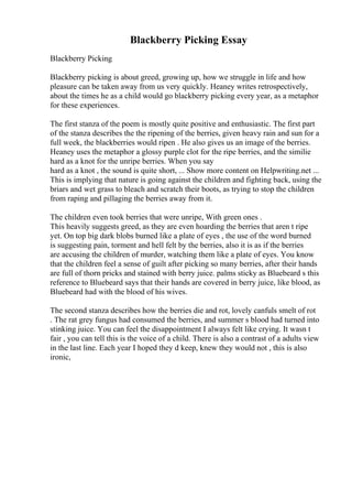 Blackberry Picking Essay
Blackberry Picking
Blackberry picking is about greed, growing up, how we struggle in life and how
pleasure can be taken away from us very quickly. Heaney writes retrospectively,
about the times he as a child would go blackberry picking every year, as a metaphor
for these experiences.
The first stanza of the poem is mostly quite positive and enthusiastic. The first part
of the stanza describes the the ripening of the berries, given heavy rain and sun for a
full week, the blackberries would ripen . He also gives us an image of the berries.
Heaney uses the metaphor a glossy purple clot for the ripe berries, and the similie
hard as a knot for the unripe berries. When you say
hard as a knot , the sound is quite short, ... Show more content on Helpwriting.net ...
This is implying that nature is going against the children and fighting back, using the
briars and wet grass to bleach and scratch their boots, as trying to stop the children
from raping and pillaging the berries away from it.
The children even took berries that were unripe, With green ones .
This heavily suggests greed, as they are even hoarding the berries that aren t ripe
yet. On top big dark blobs burned like a plate of eyes , the use of the word burned
is suggesting pain, torment and hell felt by the berries, also it is as if the berries
are accusing the children of murder, watching them like a plate of eyes. You know
that the children feel a sense of guilt after picking so many berries, after their hands
are full of thorn pricks and stained with berry juice. palms sticky as Bluebeard s this
reference to Bluebeard says that their hands are covered in berry juice, like blood, as
Bluebeard had with the blood of his wives.
The second stanza describes how the berries die and rot, lovely canfuls smelt of rot
. The rat grey fungus had consumed the berries, and summer s blood had turned into
stinking juice. You can feel the disappointment I always felt like crying. It wasn t
fair , you can tell this is the voice of a child. There is also a contrast of a adults view
in the last line. Each year I hoped they d keep, knew they would not , this is also
ironic,
 