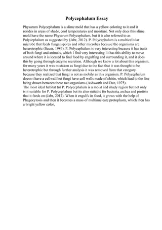 Polycephalum Essay
Physarum Polycephalum is a slime mold that has a yellow coloring to it and it
resides in areas of shade, cool temperatures and moisture. Not only does this slime
mold have the name Physarum Polycephalum, but it is also referred to as
Polycephalum as suggested by (Jabr, 2012). P. Polycephalum is a multicellular
microbe that feeds fungal spores and other microbes because the organisms are
heterotrophic (Sauer, 1986). P. Polycephalum is very interesting because it has traits
of both fungi and animals, which I find very interesting. It has this ability to move
around where it is located to find food by engulfing and surrounding it, and it does
this by going through enzyme secretion. Although we know a lot about this organism,
for many years it was mistaken as fungi due to the fact that it was thought to be
heterotrophic but through further analysis it was removed from that category
because they realized that fungi is not as mobile as this organism. P. Polycephalum
doesn t have a cellwall but fungi have cell walls made of chitin, which lead to the line
being drawn between these two organisms (Ashworth and Dee, 1975).
The most ideal habitat for P. Polycephalum is a moist and shady region but not only
is it suitable for P. Polycephalum but its also suitable for bacteria, archea and protists
that it feeds on (Jabr, 2012). When it engulfs its food, it grows with the help of
Phagocytosis and then it becomes a mass of multinucleate protoplasm, which then has
a bright yellow color,
 