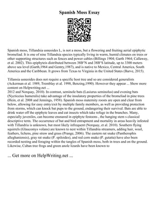 Spanish Moss Essay
Spanish moss, Tillandsia usneoides L, is not a moss, but a flowering and fruiting aerial epiphytic
bromeliad. It is one of nine Tillandsia species typically living in warm, humid climates on trees or
other supporting structures such as fences and power cables (Billings 1904; Garth 1964; Callaway,
et al. 2002). This epiphyteis distributed between 38В°N and 38В°S latitude, up to 3300 meters
above sea level (Garth,1964 and Gentry,1987), and is native to Mexico, Central America, South
America and the Caribbean. It grows from Texas to Virginia in the United States (Barve, 2015).
Tillansia usneoides does not require a specific host tree and so are considered generalists
(Ackerman et al. 1989, Tremblay et al. 1998, Benzing,1990). However they appear ... Show more
content on Helpwriting.net ...
2012 and Norquay, 2010). In contrast, seminole bats (Lasiurus seminolus) and evening bats
(Nycticeius humeralis) take advantage of the insulatory properties of the bromeliad in pine trees
(Hein, et al. 2008 and Jennings, 1958). Spanish moss maternity roosts are open and clear from
below, allowing for easy entry/exit by multiple family members, as well as providing protection
from storms, which can knock bat pups to the ground, endangering their survival. Bats are able to
drink water off the epiphyte leaves and eat insects which take refuge in the branches. Many,
especially juveniles, can become ensnared in epiphyte festoons , the hanging stem s classical
descriptive term. The occurrence of bat and bird entrapment and mortality in areas heavily infested
with Tillandria is unknown, but most likely infrequent (Norquay, et al. 2010). Southern flying
squirrels (Glaucomys volans) are known to nest within Tillandria streamers, adding hair, wool,
feathers, lichens, pine straw and grass (Prange, 2006). The eastern rat snake (Pantherophis
alleghaniensis), gray rat snake (P. spiloides), and red corn snake (P. gutatta) have also been
recorded nesting and foraging within the tangles of Spanish moss, both in trees and on the ground.
Likewise, Cuban tree frogs and green anole lizards have been known to
... Get more on HelpWriting.net ...
 