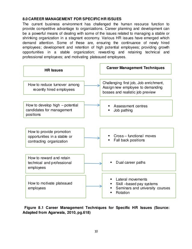 Managing growth essay image