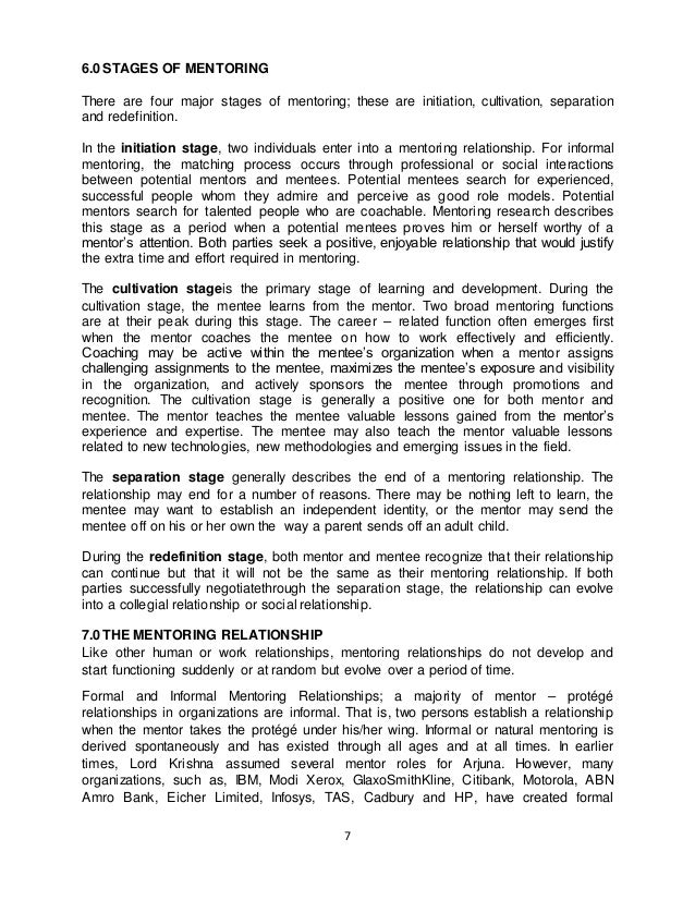 Mentorship essay