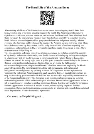 Essay On My Aim In Life To Become An Software Engineer | PDF