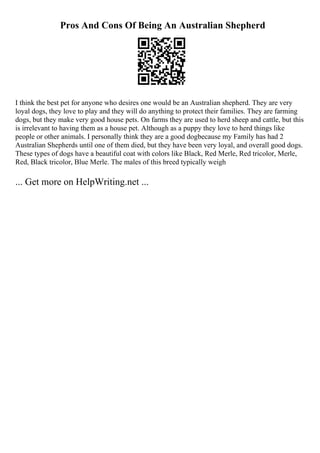 Pros And Cons Of Being An Australian Shepherd
I think the best pet for anyone who desires one would be an Australian shepherd. They are very
loyal dogs, they love to play and they will do anything to protect their families. They are farming
dogs, but they make very good house pets. On farms they are used to herd sheep and cattle, but this
is irrelevant to having them as a house pet. Although as a puppy they love to herd things like
people or other animals. I personally think they are a good dogbecause my Family has had 2
Australian Shepherds until one of them died, but they have been very loyal, and overall good dogs.
These types of dogs have a beautiful coat with colors like Black, Red Merle, Red tricolor, Merle,
Red, Black tricolor, Blue Merle. The males of this breed typically weigh
... Get more on HelpWriting.net ...
 