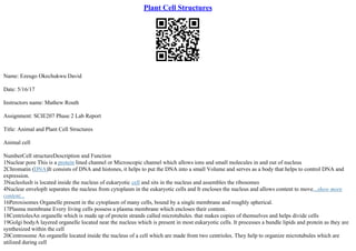 Plant Cell Structures
Name: Ezeugo Okechukwu David
Date: 5/16/17
Instructors name: Mathew Routh
Assignment: SCIE207 Phase 2 Lab Report
Title: Animal and Plant Cell Structures
Animal cell
NumberCell structureDescription and Function
1Nuclear pore This is a protein lined channel or Microscopic channel which allows ions and small molecules in and out of nucleus
2Chromatin (DNA)It consists of DNA and histones, it helps to put the DNA into a small Volume and serves as a body that helps to control DNA and
expression.
3NucleolusIt is located inside the nucleus of eukaryotic cell and sits in the nucleus and assembles the ribosomes
4Nuclear envelopIt separates the nucleus from cytoplasm in the eukaryotic cells and It encloses the nucleus and allows content to move...show more
content...
16Peroxisomes Organelle present in the cytoplasm of many cells, bound by a single membrane and roughly spherical.
17Plasma membrane Every living cells possess a plasma membrane which encloses their content.
18CentriolesAn organelle which is made up of protein strands called microtubules. that makes copies of themselves and helps divide cells
19Golgi bodyA layered organelle located near the nucleus which is present in most eukaryotic cells. It processes a bundle lipids and protein as they are
synthesized within the cell
20Centrosome An organelle located inside the nucleus of a cell which are made from two centrioles. They help to organize microtubules which are
utilized during cell
 