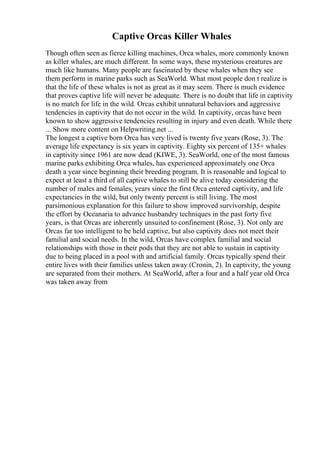 Captive Orcas Killer Whales
Though often seen as fierce killing machines, Orca whales, more commonly known
as killer whales, are much different. In some ways, these mysterious creatures are
much like humans. Many people are fascinated by these whales when they see
them perform in marine parks such as SeaWorld. What most people don t realize is
that the life of these whales is not as great as it may seem. There is much evidence
that proves captive life will never be adequate. There is no doubt that life in captivity
is no match for life in the wild. Orcas exhibit unnatural behaviors and aggressive
tendencies in captivity that do not occur in the wild. In captivity, orcas have been
known to show aggressive tendencies resulting in injury and even death. While there
... Show more content on Helpwriting.net ...
The longest a captive born Orca has very lived is twenty five years (Rose, 3). The
average life expectancy is six years in captivity. Eighty six percent of 135+ whales
in captivity since 1961 are now dead (KIWE, 3). SeaWorld, one of the most famous
marine parks exhibiting Orca whales, has experienced approximately one Orca
death a year since beginning their breeding program. It is reasonable and logical to
expect at least a third of all captive whales to still be alive today considering the
number of males and females, years since the first Orca entered captivity, and life
expectancies in the wild, but only twenty percent is still living. The most
parsimonious explanation for this failure to show improved survivorship, despite
the effort by Oceanaria to advance husbandry techniques in the past forty five
years, is that Orcas are inherently unsuited to confinement (Rose, 3). Not only are
Orcas far too intelligent to be held captive, but also captivity does not meet their
familial and social needs. In the wild, Orcas have complex familial and social
relationships with those in their pods that they are not able to sustain in captivity
due to being placed in a pool with and artificial family. Orcas typically spend their
entire lives with their families unless taken away (Cronin, 2). In captivity, the young
are separated from their mothers. At SeaWorld, after a four and a half year old Orca
was taken away from
 