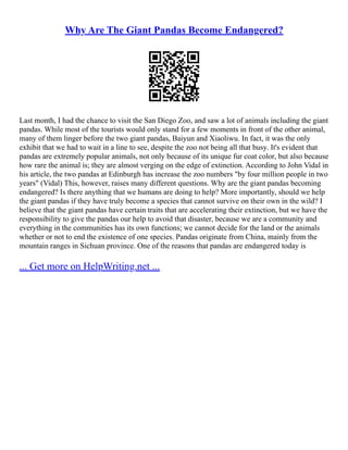 Why Are The Giant Pandas Become Endangered?
Last month, I had the chance to visit the San Diego Zoo, and saw a lot of animals including the giant
pandas. While most of the tourists would only stand for a few moments in front of the other animal,
many of them linger before the two giant pandas, Baiyun and Xiaoliwu. In fact, it was the only
exhibit that we had to wait in a line to see, despite the zoo not being all that busy. It's evident that
pandas are extremely popular animals, not only because of its unique fur coat color, but also because
how rare the animal is; they are almost verging on the edge of extinction. According to John Vidal in
his article, the two pandas at Edinburgh has increase the zoo numbers "by four million people in two
years" (Vidal) This, however, raises many different questions. Why are the giant pandas becoming
endangered? Is there anything that we humans are doing to help? More importantly, should we help
the giant pandas if they have truly become a species that cannot survive on their own in the wild? I
believe that the giant pandas have certain traits that are accelerating their extinction, but we have the
responsibility to give the pandas our help to avoid that disaster, because we are a community and
everything in the communities has its own functions; we cannot decide for the land or the animals
whether or not to end the existence of one species. Pandas originate from China, mainly from the
mountain ranges in Sichuan province. One of the reasons that pandas are endangered today is
... Get more on HelpWriting.net ...
 