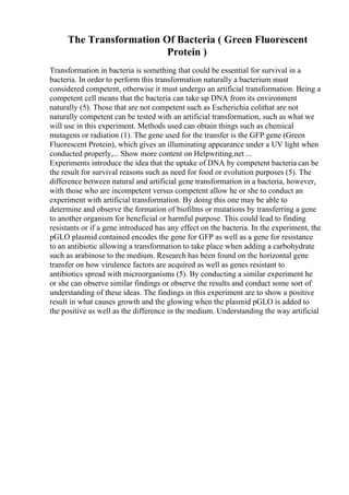 The Transformation Of Bacteria ( Green Fluorescent
Protein )
Transformation in bacteria is something that could be essential for survival in a
bacteria. In order to perform this transformation naturally a bacterium must
considered competent, otherwise it must undergo an artificial transformation. Being a
competent cell means that the bacteria can take up DNA from its environment
naturally (5). Those that are not competent such as Escherichia colithat are not
naturally competent can be tested with an artificial transformation, such as what we
will use in this experiment. Methods used can obtain things such as chemical
mutagens or radiation (1). The gene used for the transfer is the GFP gene (Green
Fluorescent Protein), which gives an illuminating appearance under a UV light when
conducted properly,... Show more content on Helpwriting.net ...
Experiments introduce the idea that the uptake of DNA by competent bacteria can be
the result for survival reasons such as need for food or evolution purposes (5). The
difference between natural and artificial gene transformation in a bacteria, however,
with those who are incompetent versus competent allow he or she to conduct an
experiment with artificial transformation. By doing this one may be able to
determine and observe the formation of biofilms or mutations by transferring a gene
to another organism for beneficial or harmful purpose. This could lead to finding
resistants or if a gene introduced has any effect on the bacteria. In the experiment, the
pGLO plasmid contained encodes the gene for GFP as well as a gene for resistance
to an antibiotic allowing a transformation to take place when adding a carbohydrate
such as arabinose to the medium. Research has been found on the horizontal gene
transfer on how virulence factors are acquired as well as genes resistant to
antibiotics spread with microorganisms (5). By conducting a similar experiment he
or she can observe similar findings or observe the results and conduct some sort of
understanding of these ideas. The findings in this experiment are to show a positive
result in what causes growth and the glowing when the plasmid pGLO is added to
the positive as well as the difference in the medium. Understanding the way artificial
 