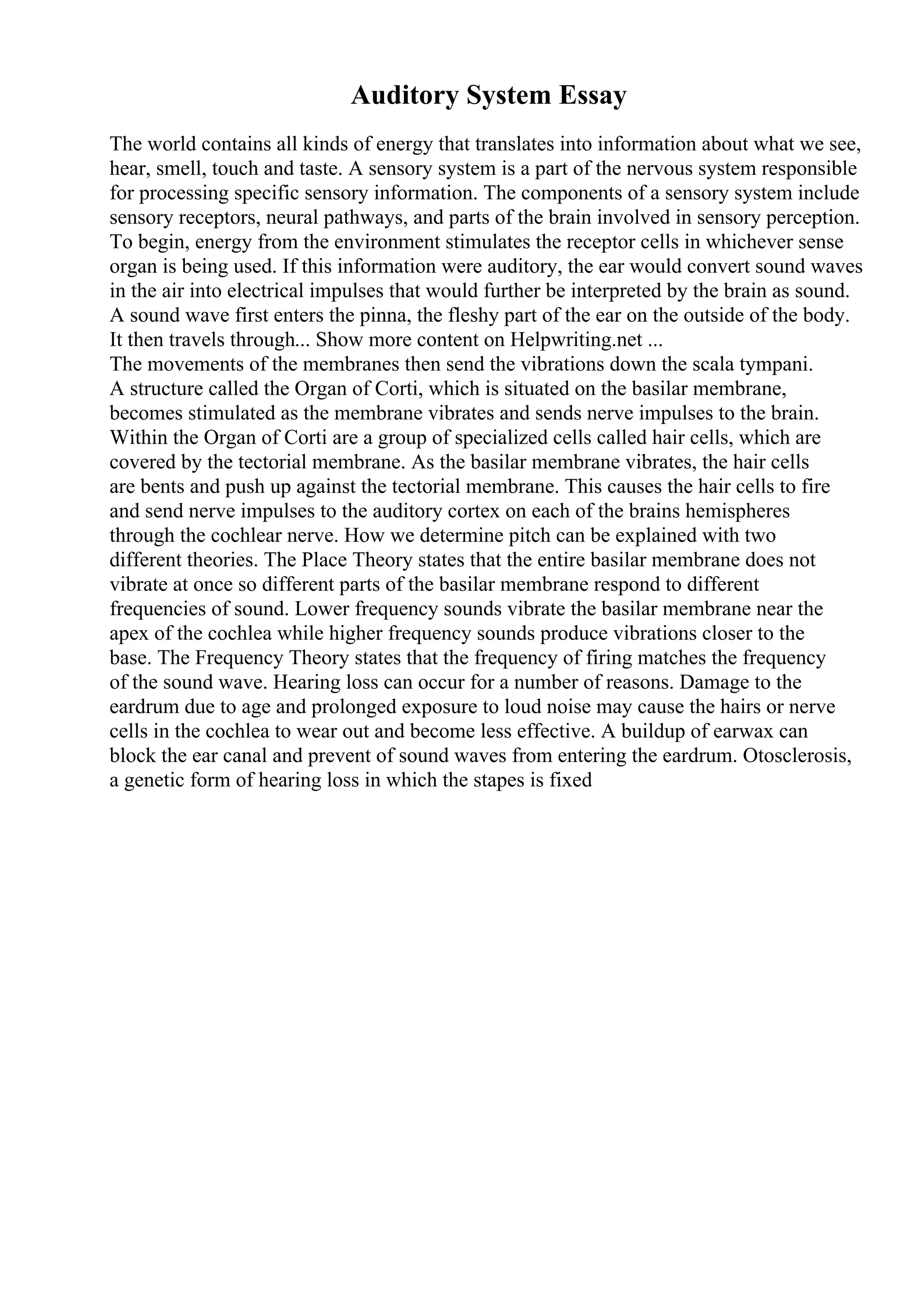 Auditory System Essay
The world contains all kinds of energy that translates into information about what we see,
hear, smell, touch and taste. A sensory system is a part of the nervous system responsible
for processing specific sensory information. The components of a sensory system include
sensory receptors, neural pathways, and parts of the brain involved in sensory perception.
To begin, energy from the environment stimulates the receptor cells in whichever sense
organ is being used. If this information were auditory, the ear would convert sound waves
in the air into electrical impulses that would further be interpreted by the brain as sound.
A sound wave first enters the pinna, the fleshy part of the ear on the outside of the body.
It then travels through... Show more content on Helpwriting.net ...
The movements of the membranes then send the vibrations down the scala tympani.
A structure called the Organ of Corti, which is situated on the basilar membrane,
becomes stimulated as the membrane vibrates and sends nerve impulses to the brain.
Within the Organ of Corti are a group of specialized cells called hair cells, which are
covered by the tectorial membrane. As the basilar membrane vibrates, the hair cells
are bents and push up against the tectorial membrane. This causes the hair cells to fire
and send nerve impulses to the auditory cortex on each of the brains hemispheres
through the cochlear nerve. How we determine pitch can be explained with two
different theories. The Place Theory states that the entire basilar membrane does not
vibrate at once so different parts of the basilar membrane respond to different
frequencies of sound. Lower frequency sounds vibrate the basilar membrane near the
apex of the cochlea while higher frequency sounds produce vibrations closer to the
base. The Frequency Theory states that the frequency of firing matches the frequency
of the sound wave. Hearing loss can occur for a number of reasons. Damage to the
eardrum due to age and prolonged exposure to loud noise may cause the hairs or nerve
cells in the cochlea to wear out and become less effective. A buildup of earwax can
block the ear canal and prevent of sound waves from entering the eardrum. Otosclerosis,
a genetic form of hearing loss in which the stapes is fixed
 