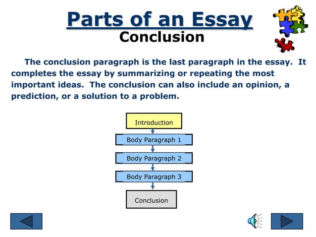 essay procedure text