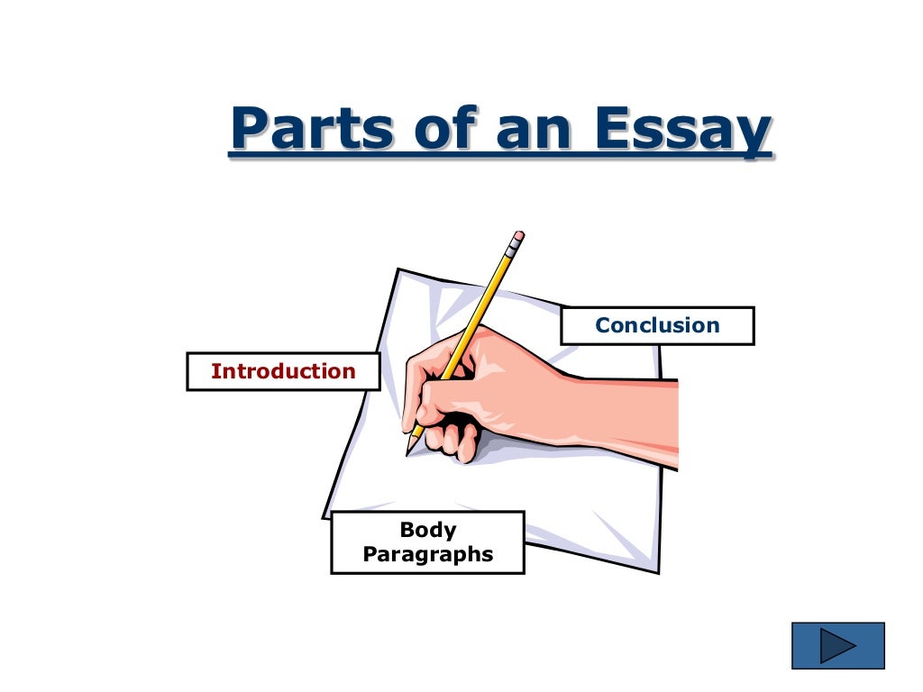 the essay writing