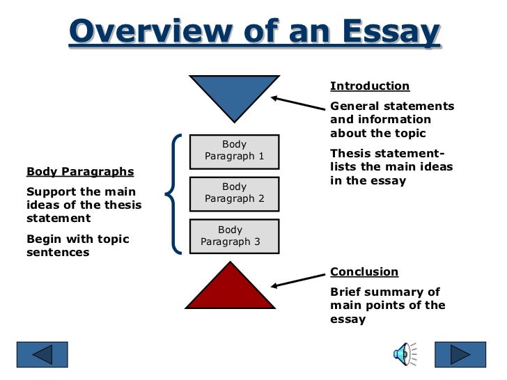 what is the body part of an essay