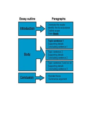 Essay outline