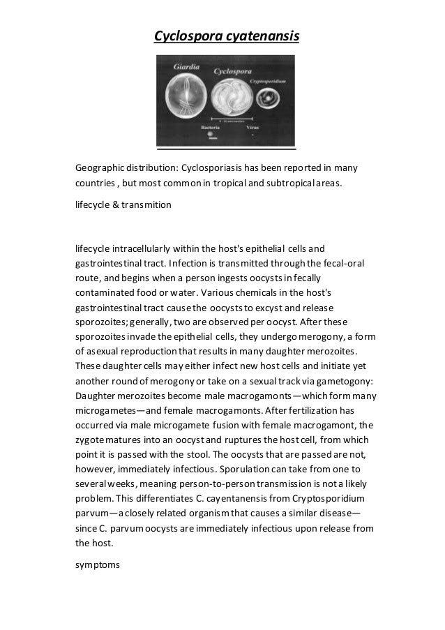 Bracket parenthesis picture