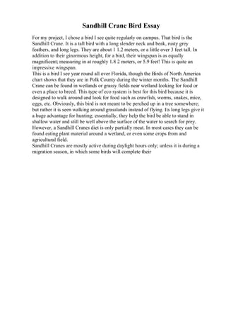 Sandhill Crane Bird Essay
For my project, I chose a bird I see quite regularly on campus. That bird is the
Sandhill Crane. It is a tall bird with a long slender neck and beak, rusty grey
feathers, and long legs. They are about 1 1.2 meters, or a little over 3 feet tall. In
addition to their ginormous height, for a bird, their wingspan is as equally
magnificent; measuring in at roughly 1.8 2 meters, or 5.9 feet! This is quite an
impressive wingspan.
This is a bird I see year round all over Florida, though the Birds of North America
chart shows that they are in Polk County during the winter months. The Sandhill
Crane can be found in wetlands or grassy fields near wetland looking for food or
even a place to breed. This type of eco system is best for this bird because it is
designed to walk around and look for food such as crawfish, worms, snakes, mice,
eggs, etc. Obviously, this bird is not meant to be perched up in a tree somewhere;
but rather it is seen walking around grasslands instead of flying. Its long legs give it
a huge advantage for hunting; essentially, they help the bird be able to stand in
shallow water and still be well above the surface of the water to search for prey.
However, a Sandhill Cranes diet is only partially meat. In most cases they can be
found eating plant material around a wetland, or even some crops from and
agricultural field.
Sandhill Cranes are mostly active during daylight hours only; unless it is during a
migration season, in which some birds will complete their
 