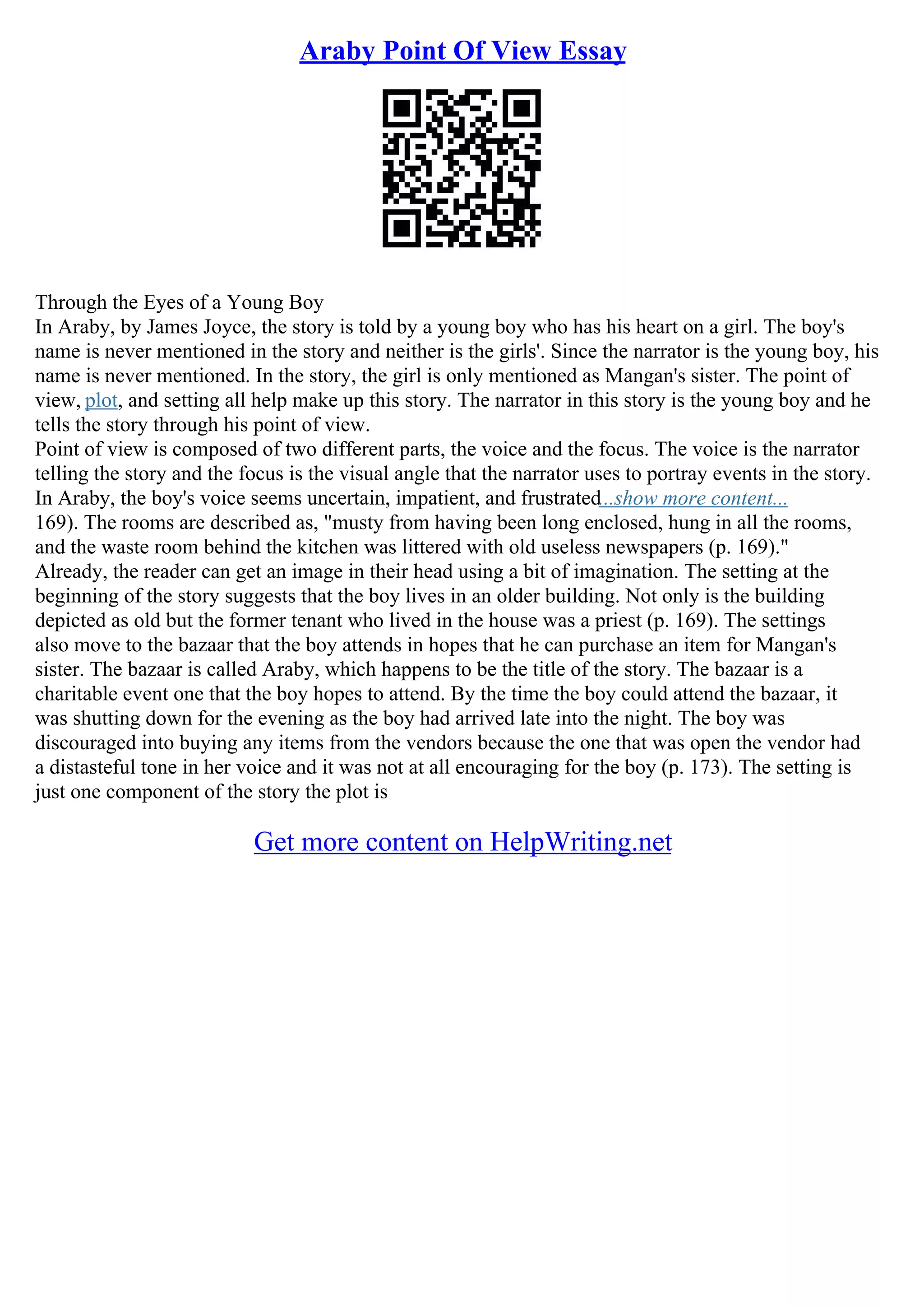 Essay Point Of View PDF